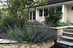 7Terraced