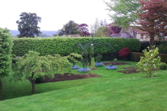3Woodland