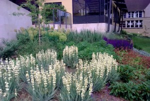 Bath Garden Design