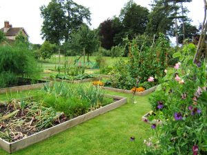 Bath veg garden design