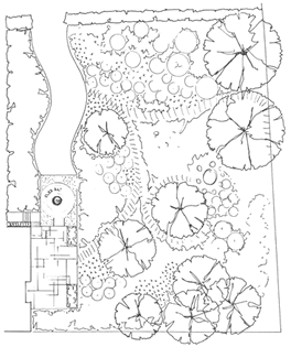 Woodland garden plan