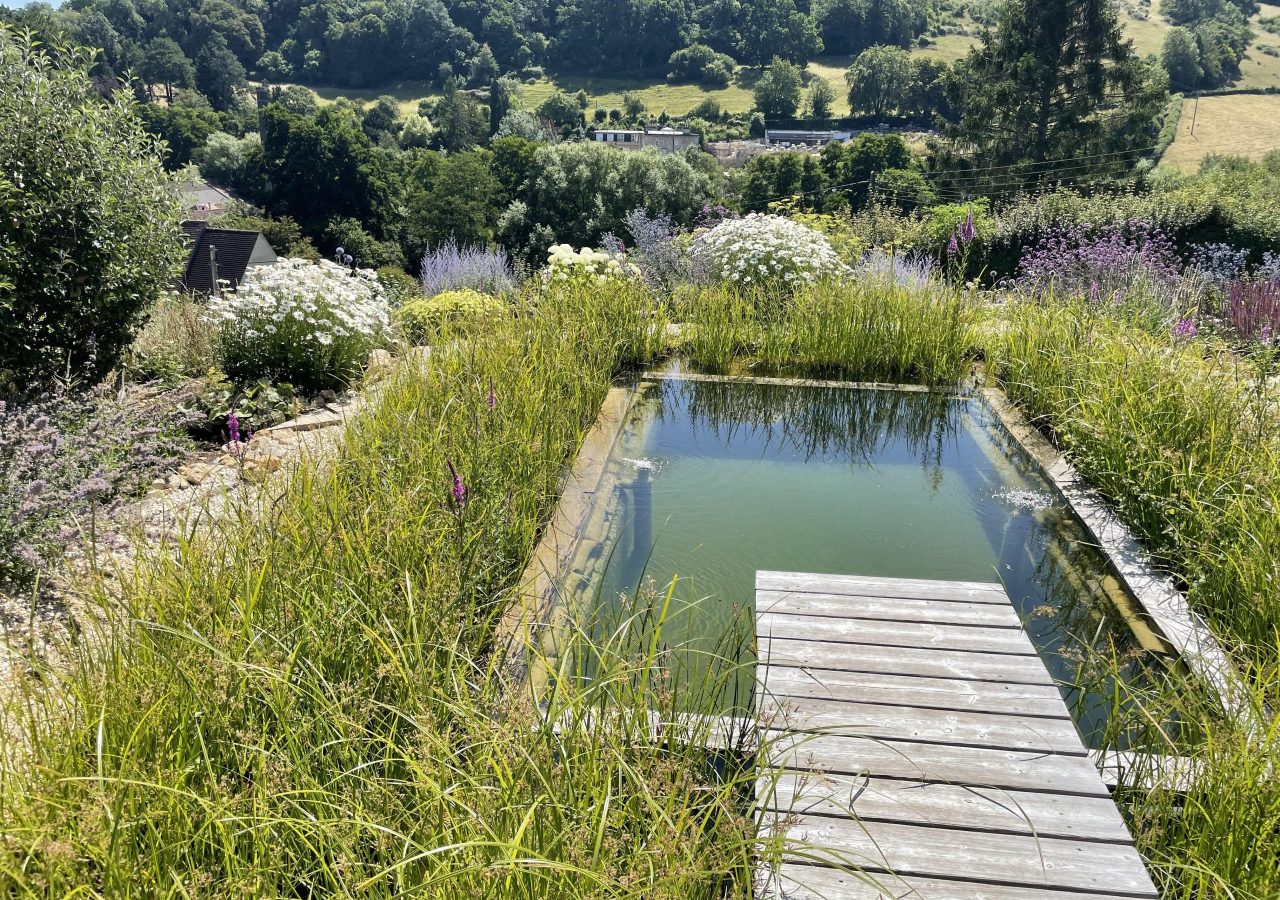 swimmingpool Natural swimming pool